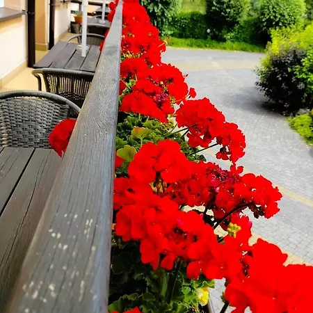 Hotel U Hermanów Olsztyn (Silesia)