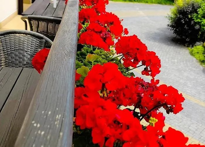 Hotel U Hermanow Olsztyn (Silesia)